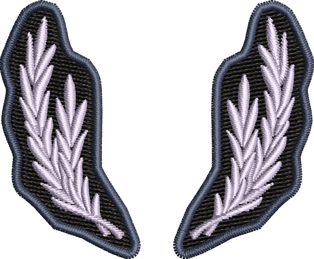 PETLITE SUBOFITERI POLITIA ROMANA